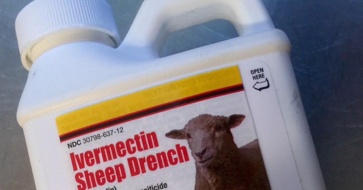 Big Profit in Sheep Drench for Dogs Terrierman s Daily Dose